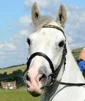 Devil's Dyke Charity Ride