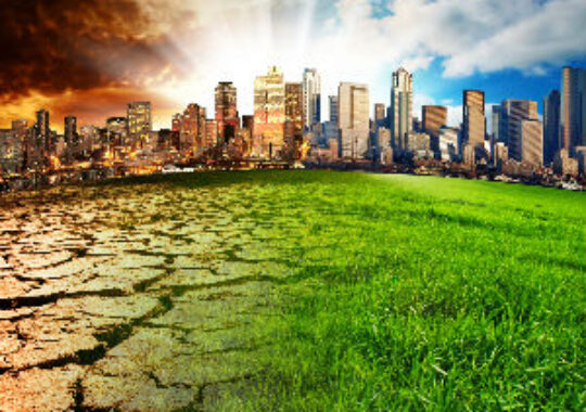 FM and the circular economy