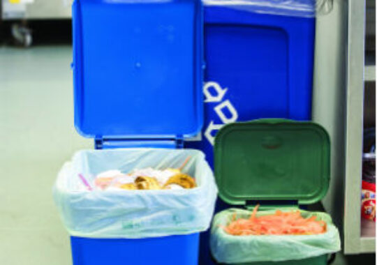 Cromwell Polythene gets wrapped up in food safety and sustainability