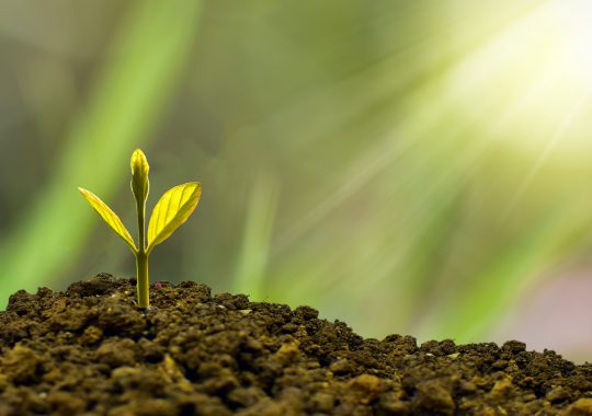 Time to spring your PR and marketing plans into action